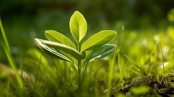 dichtbij omhoog klein groen boom planten natuur achtergrond ai gegenereerd foto