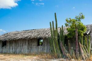 traditioneel guadua hout huizen Bij la guajira in Colombia foto