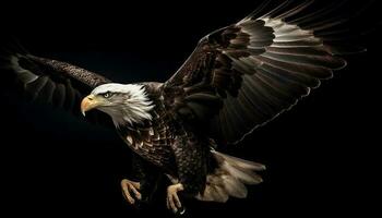 majestueus vogel van prooi stijgend in vrijheid gegenereerd door ai foto
