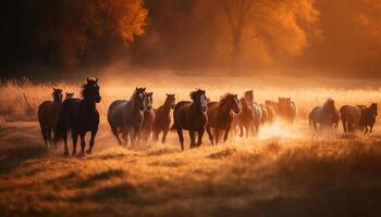 silhouet van hengst begrazing in berg weide gegenereerd door ai foto