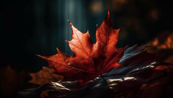 levendig herfst esdoorn- boom, een vurig schoonheid gegenereerd door ai foto