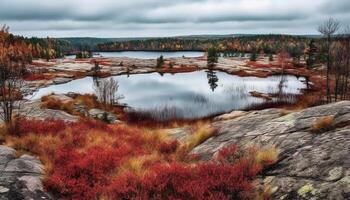 rustig herfst Woud, levendig kleuren reflecteren schoonheid gegenereerd door ai foto