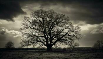 silhouet van boom kofferbak, spookachtig en eenzaam gegenereerd door ai foto