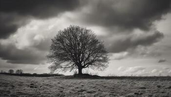 silhouet van een oud boom in weide gegenereerd door ai foto