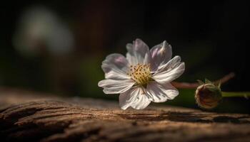 single bloem in weide, schoonheid in natuur generatief ai foto