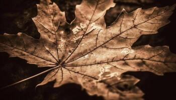 aderen van herfst bladeren onthullen natuur schoonheid generatief ai foto