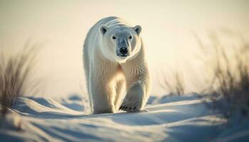 schattig arctisch zoogdier wandelen Aan bevroren ijs gegenereerd door ai foto