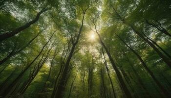 groen bladeren Aan oud pijnboom boom Afdeling gegenereerd door ai foto