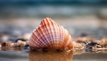 schoonheid in natuur dichtbij omhoog van zeeschelp spiraal gegenereerd door ai foto