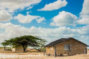 traditioneel Adobe huis Aan de woestijn onder blauw lucht in la guajira in Colombia foto