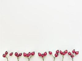 rozenbottels takken op een beige achtergrond natuurlijke plat leggen met kopie ruimte foto