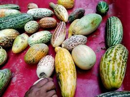 rijp meloenen Latijns cucumis melo van de nieuw oogst zijn verkocht Bij de markt foto