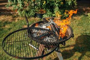 ronde metaal barbecue rooster met brand van brandend hout foto