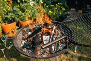 berk brandhout in de barbecue rooster - Koken vlees Aan een brand in de achtertuin partij foto