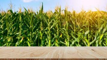 houten verdieping met natuur groen maïs veld- landbouw tuin achtergrond, kopiëren ruimte foto