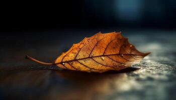 levendig herfst esdoorn- bladeren vallend Aan nat Woud vloer, mooi gegenereerd door ai foto