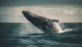 dichtbij omhoog van majestueus gebochelde walvis overtreden in blauw wateren gegenereerd door ai foto