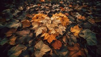 levendig herfst kleuren sieren de Woud, een mooi natuurlijk patroon gegenereerd door ai foto