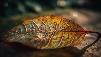 herfst schoonheid in natuur levendig kleuren, droog bladeren vallend sierlijk gegenereerd door ai foto