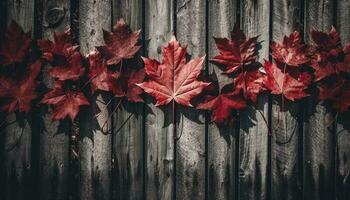 herfst bladeren Aan multi gekleurde bomen creëren levendig Woud backdrop gegenereerd door ai foto