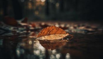 rustig tafereel esdoorn- boom weerspiegelt levendig herfst kleuren Aan vijver gegenereerd door ai foto