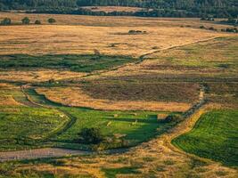 antenne dar top naar beneden visie Aan een herfst veld- met een wit paard. landbouw concept foto