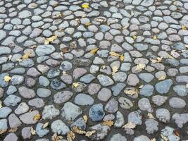 geplaveide straat met herfst bladeren achtergrond foto