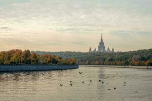 herfst ochtend- Aan de mus heuvels. migrerend vogelstand vlieg over- de Moskou rivier- foto