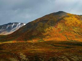 dramatisch gouden licht en schaduw Aan de rots in herfst steppe. grote hoogte plateau van jesjtykol. altai bergen foto
