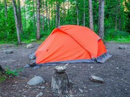 camping in de diep Woud. oranje tent in een naald- berg Woud. vrede en ontspanning in natuur. foto