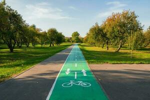 fiets pad in zomer park. markering Aan de asfalt. foto
