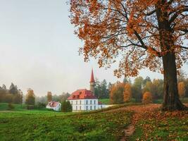 herfst ochtend- landschap. helder herfst mistig landschap met gouden bomen en oud paleis. gatchina. Rusland. foto