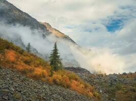 mystiek berg vallei. herfst poster van altai bergen. zonnig herfst tafereel van berg vallei. landschap fotografie. mooi herfst landschap. foto