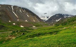 dramatisch regenachtig alpine landschap met groen heuvels en sneeuw scherp hoogtepunt in laag wolken. wees rotsen in bewolkt het weer. sfeervol geweldig visie naar puntig berg in laag wolken. foto