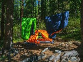 camping in de Woud. slapen zak Aan een touw voor drogen en luchten. oranje tent in een naald- berg Woud. vrede en ontspanning in natuur. foto