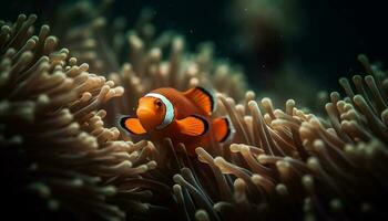 dichtbij omhoog van levendig clown vis in natuurlijk rif milieu onderwater- gegenereerd door ai foto