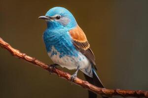 vogel in de tuin Aan de achtergrond van de boom in de Woud . ai gegenereerd foto