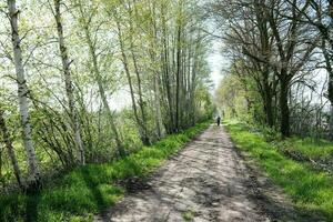 oad in de platteland in de voorjaar foto