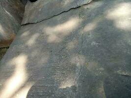 foto van een verdieping gemaakt van cement met een schaduw van een schaduwrijk boom gedurende de dag
