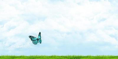 bewolkte luchten vlinder op het gazon, 3d illustratie foto