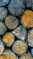achtergrond met groot houtstapel in de zomer Woud van gezaagd oud groot pijnboom en net ontschorst logboeken voor bosbouw industrie foto