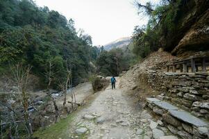 een jong reiziger trekking Aan Woud spoor , Nepal foto