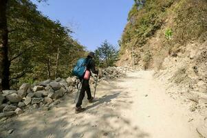 een jong reiziger trekking Aan Woud spoor , Nepal foto