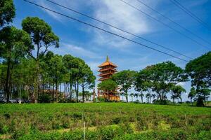 mooi architectuur van knuppel nee pagode in bao plaats stad foto