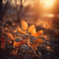 feestelijk herfst en gelukkig dankzegging decor van pompoenen, bessen en bladeren. ai gegenereerd. foto