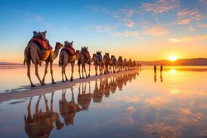 caravan van kamelen Aan de zout meer Bij zonsopkomst. generatief ai foto