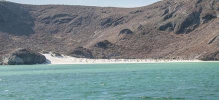 Balandra Beach in La Paz, Baja California foto