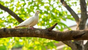 geel bek neerstrijken zeemeeuw, dichtbij omhoog schoonheid in natuur portret gegenereerd door ai foto