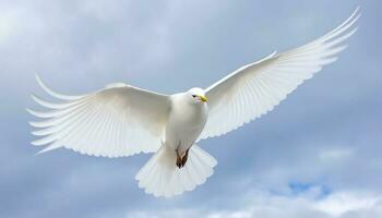 zeemeeuw glijden midden lucht, verspreiding Vleugels symboliseren vrijheid en kalmte gegenereerd door ai foto