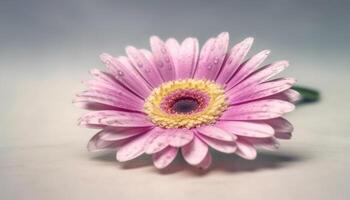 levendig gerbera madeliefje bloesem, een geschenk van natuur schoonheid gegenereerd door ai foto